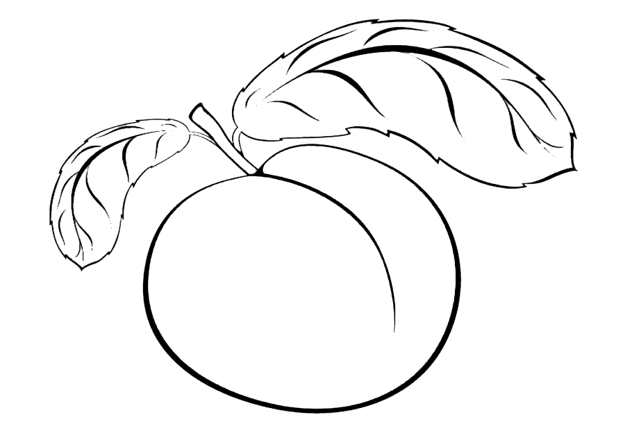 Coloring page Peach Print